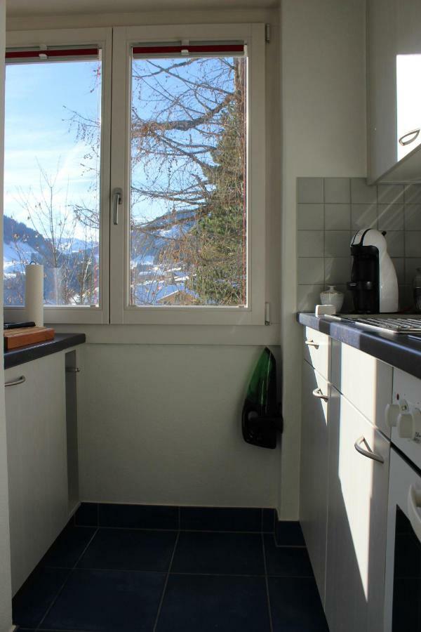 The Engstligen Apartman Adelboden Kültér fotó