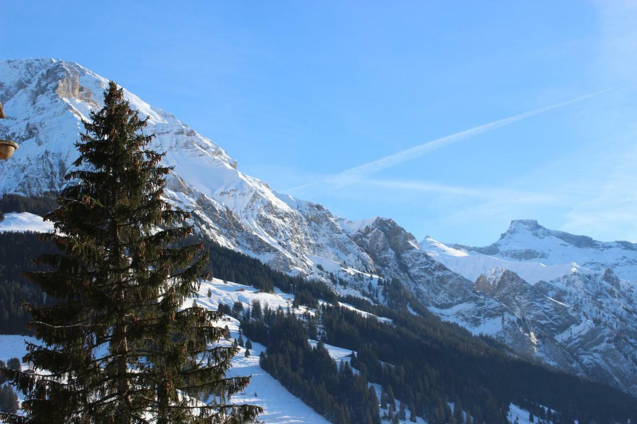 The Engstligen Apartman Adelboden Kültér fotó