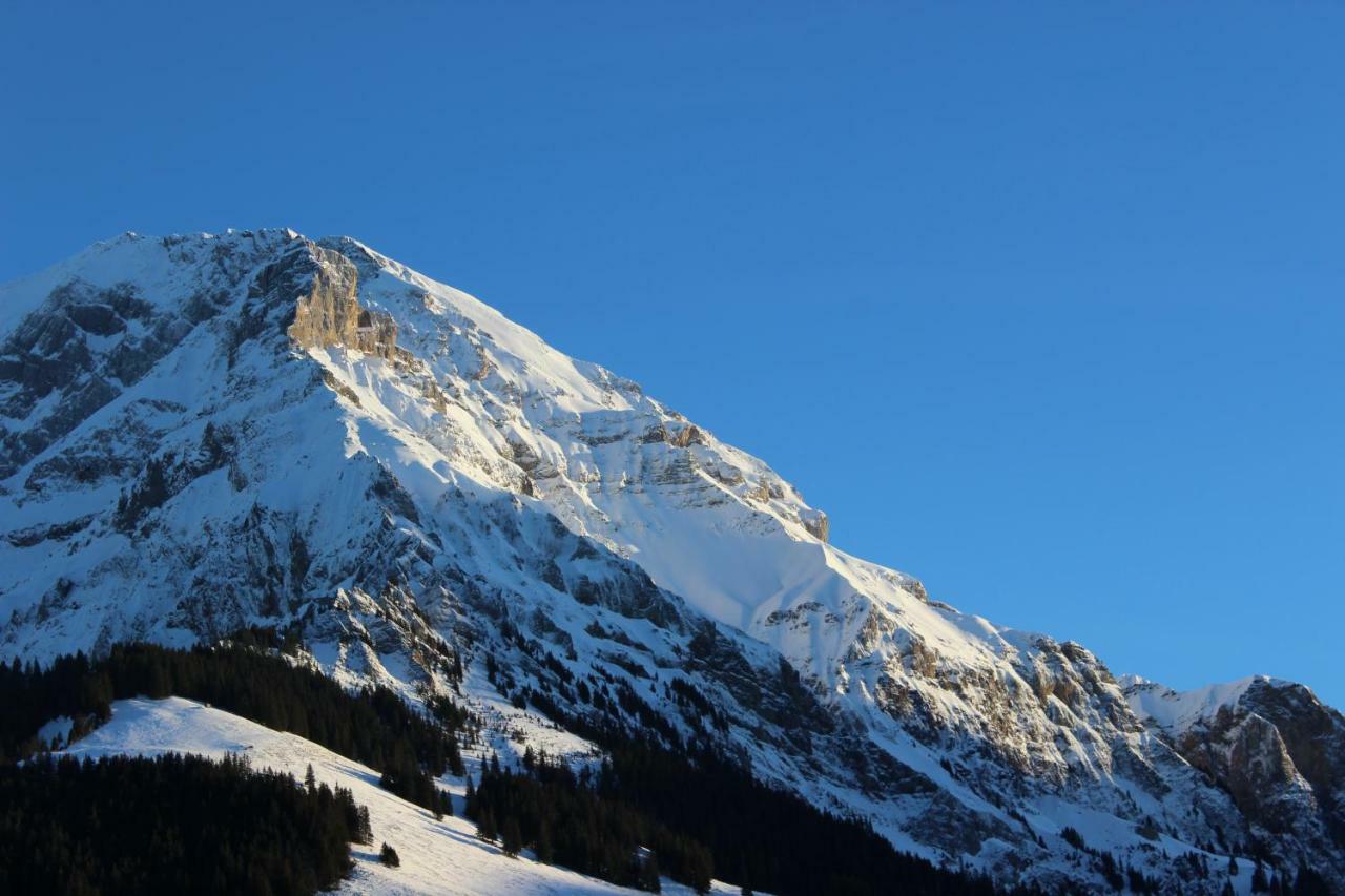 The Engstligen Apartman Adelboden Kültér fotó