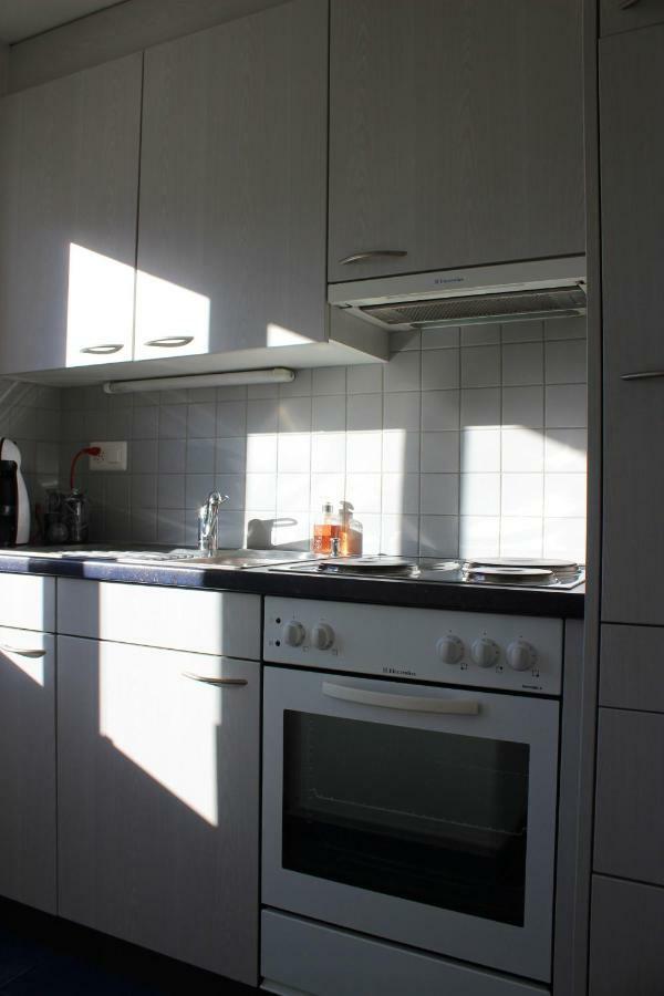 The Engstligen Apartman Adelboden Kültér fotó