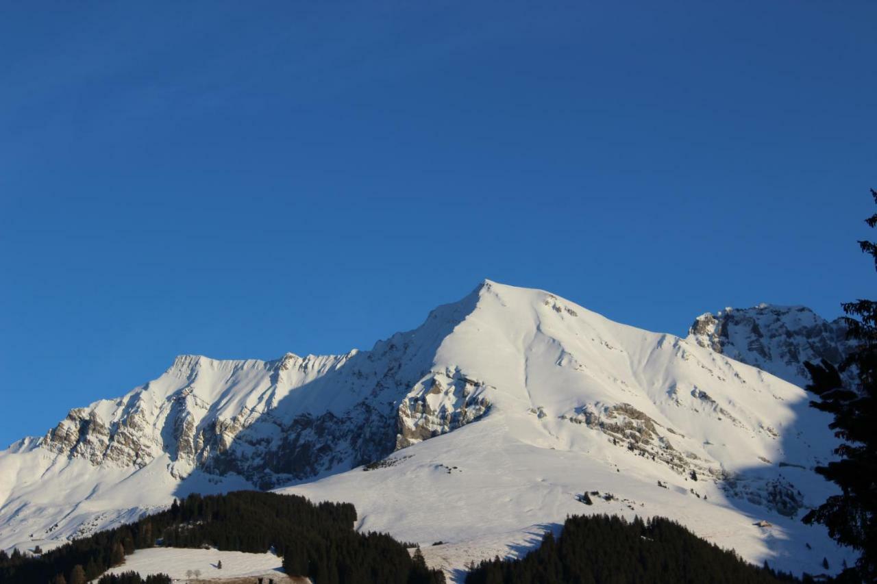 The Engstligen Apartman Adelboden Kültér fotó