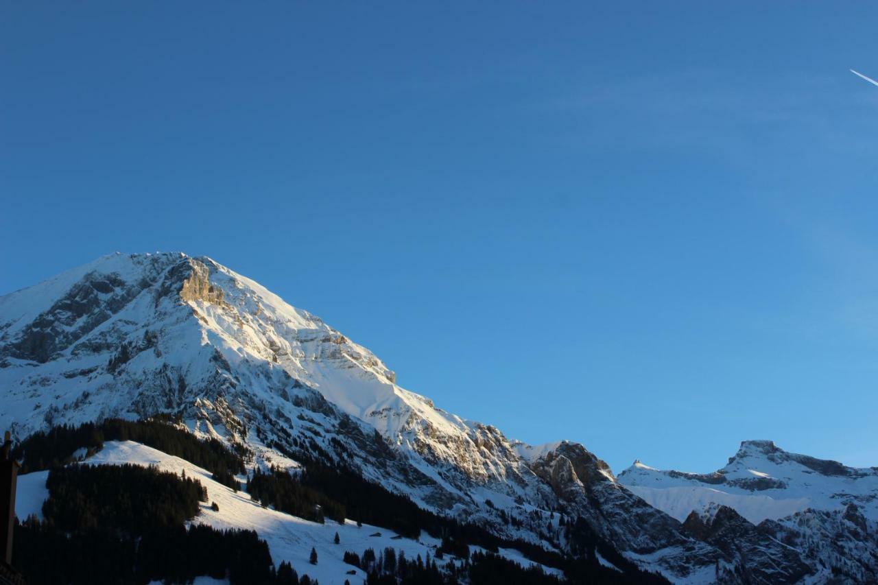The Engstligen Apartman Adelboden Kültér fotó